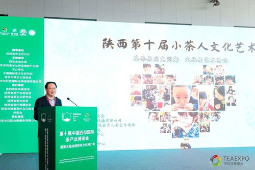 讓中國的孩子泡一杯中國茶 陜西第十屆小茶人文化藝術(shù)節(jié)成功舉辦