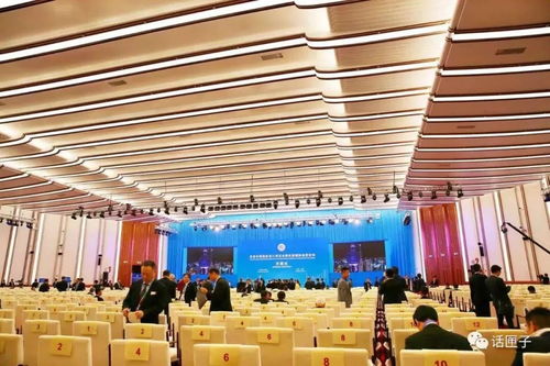 聚焦進博會 廡殿頂 水墨 天圓地方 揭秘進博會主場館室內設計的文化意味